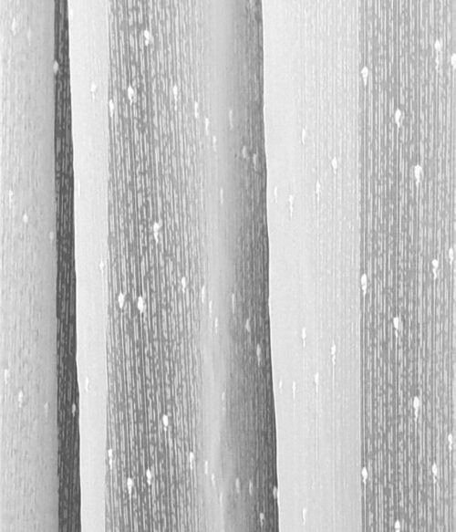 Perdea MASTEL alb cu model M1 confectionata cu rejansa